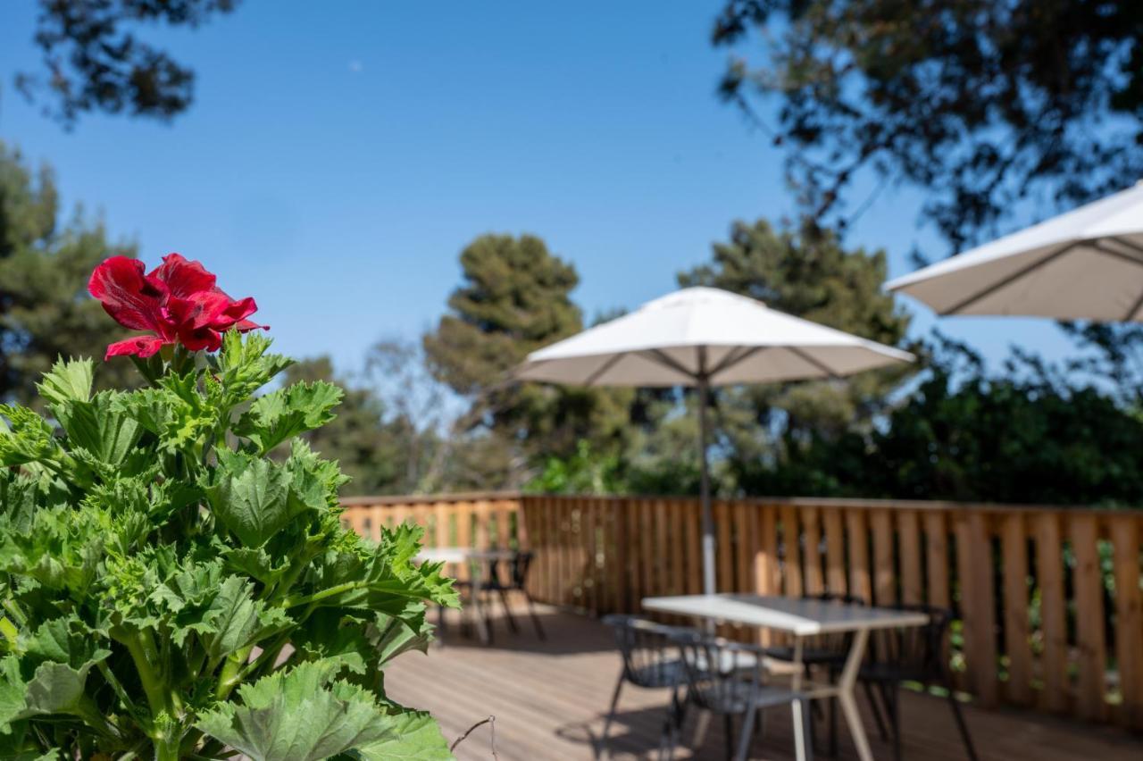 Kibbutz Malkiya Travel Hotel Malkiyya المظهر الخارجي الصورة